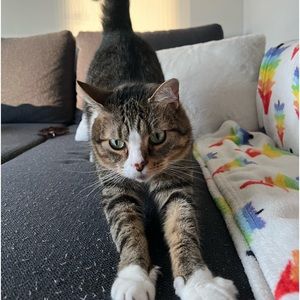 Meet your Posher, Gabrielle